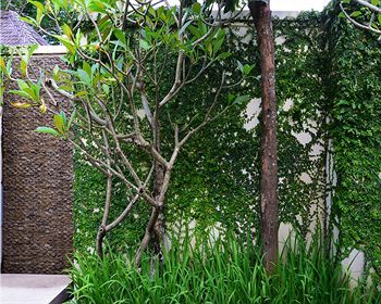 Villa The Amala