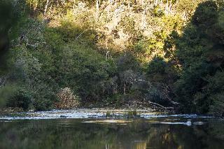 Hotel Yering Gorge Cottages
