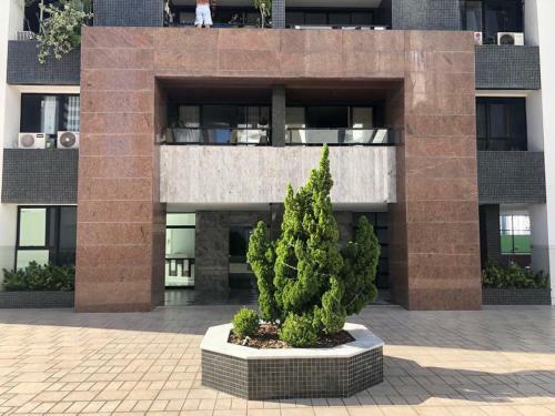 Apartamento De Luxo No Melhor Bairro