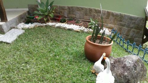 Casa Com Jardins Varandas Do Quitandinha