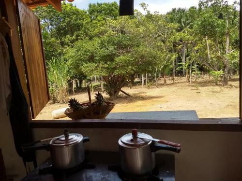 Fazenda Tarum�