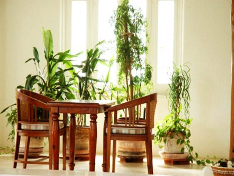Residencia Casa Quinta Luna 13a