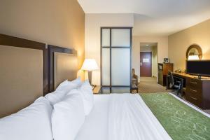 Hotel Comfort Suites