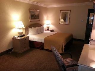 Hotel Quality Inn  And  Suites