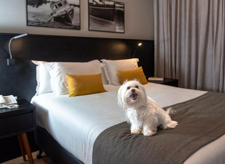 I Am Design Hotel + Residence