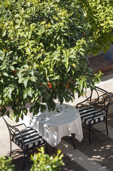 Hotel Meli� Villaitana