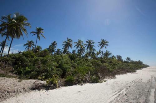 Casa De Praia Mico Le�o