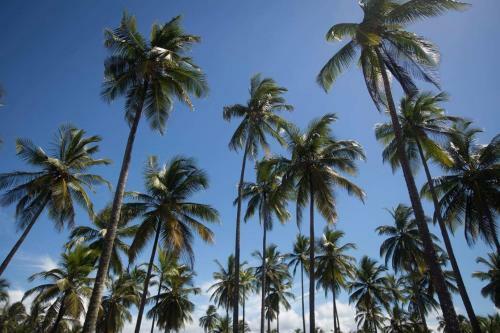Casa De Praia Mico Le�o