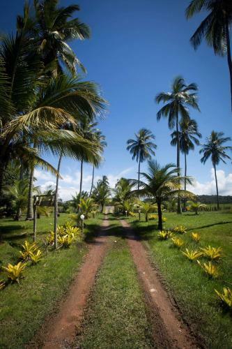 Casa De Praia Mico Le�o