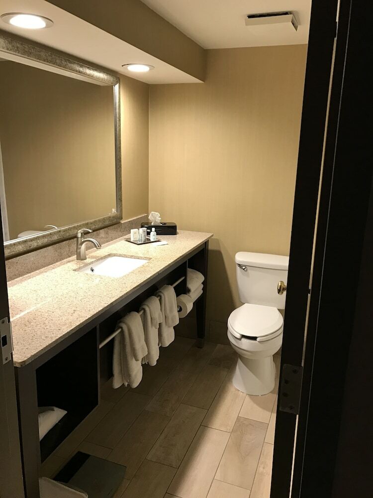 Hotel Wyndham Garden Ann Arbor