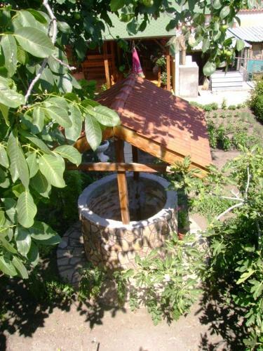 Hostal Guest House Jumbo
