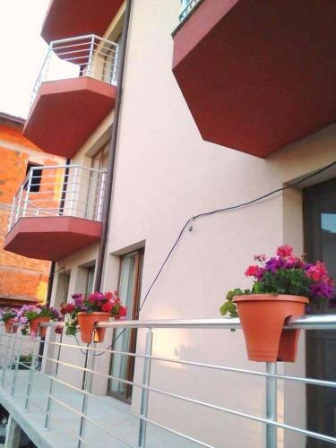 Hostal Guest House Panayotovi