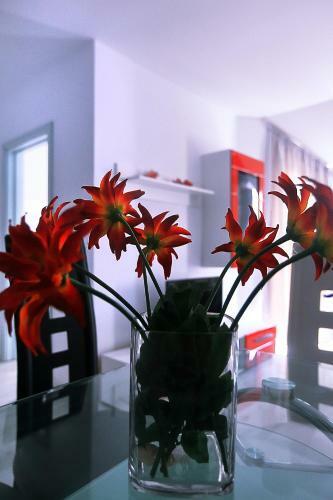 Apartamento Minismart Complex Rainbow Garden And Jacuzzi