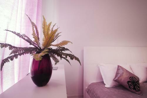 Apartamento Minismart Complex Rainbow Garden And Jacuzzi
