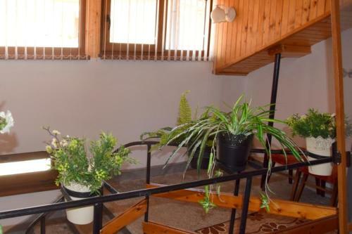 Hostal Guest Rooms Didi