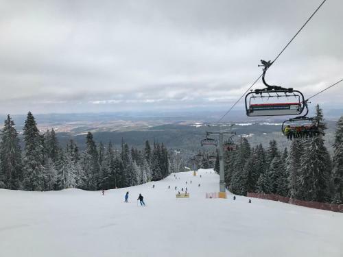 Apartamento Studio In Hotel Flora Borovets