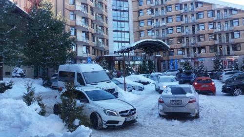 Apartamento Studio In Hotel Flora Borovets
