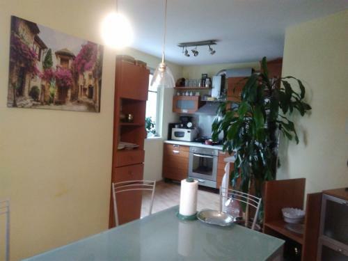 Apartment Ivan And Dilyana