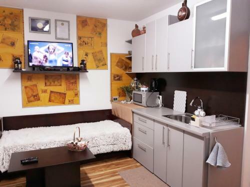 Apartment Shesti Uchastak