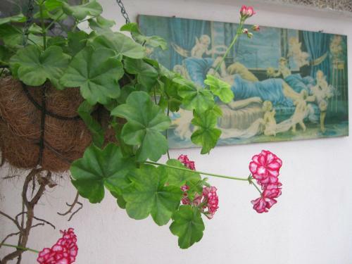 Apartment Shesti Uchastak