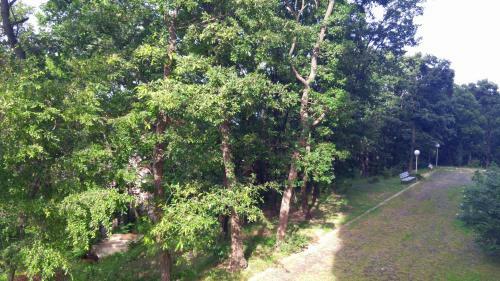 Apartamento Europroperties Nikea Park