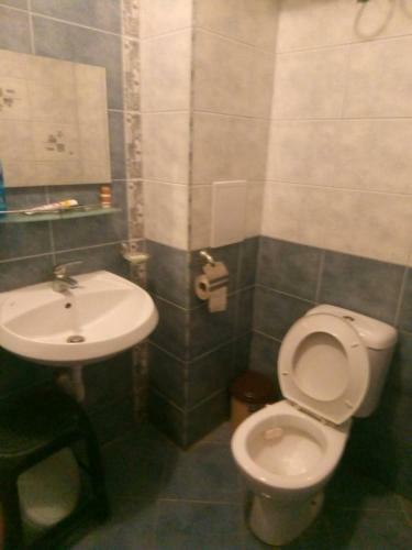 Private Apartment In Sunny House Family