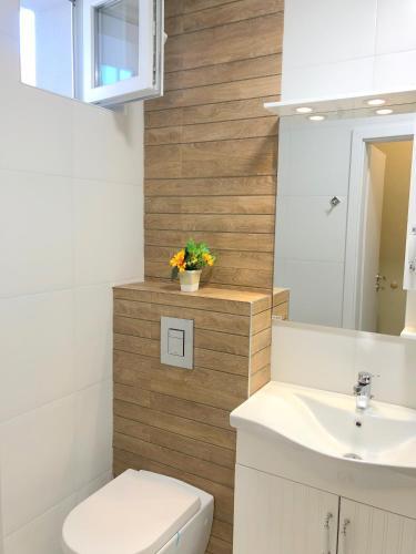 Luxury Apartments Plovdiv 4