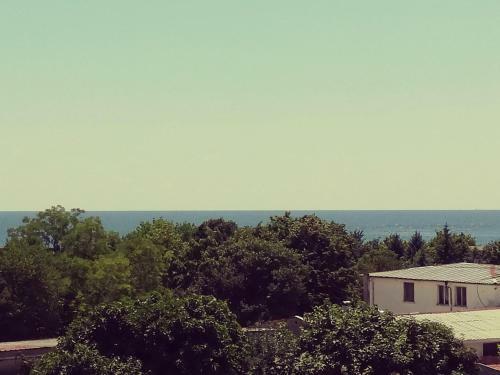 Hostal Siana House