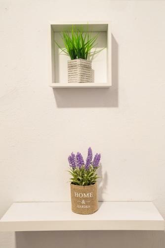 Babylon Apartment