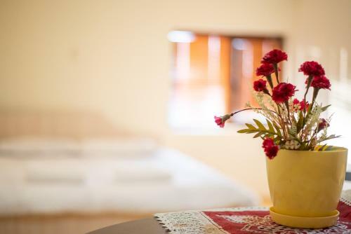 Hostal Guest House Vasilena