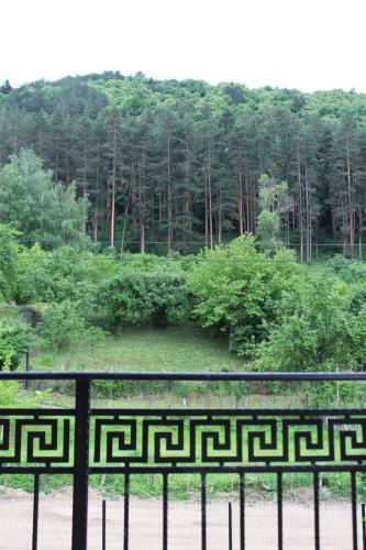 Forest Apartment