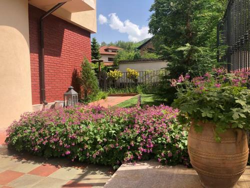 Hostal Guest House Alina