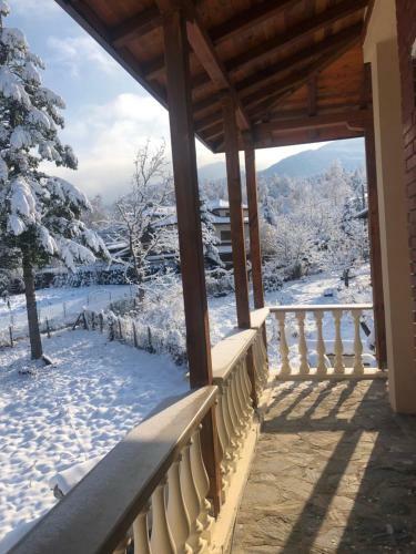 Hostal Guest House Alina