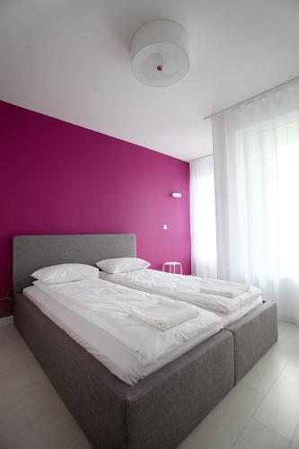 Turquoise And Magenta Apartaments