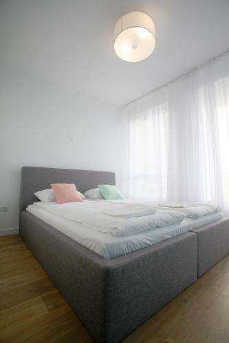 Turquoise And Magenta Apartaments