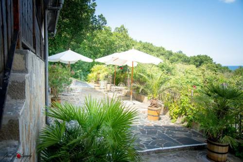 Hotel Arkutino Family Resort