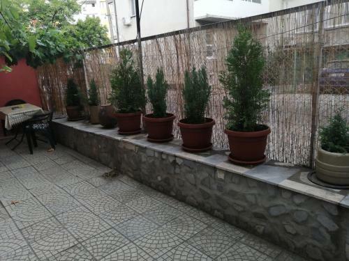 Apartments Avgusta Trayana