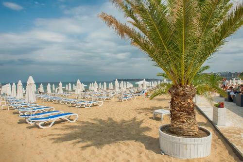 Holiday Apartments In Nobel