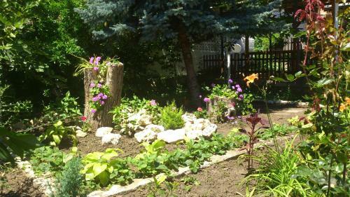 Hostal Guest House Byki