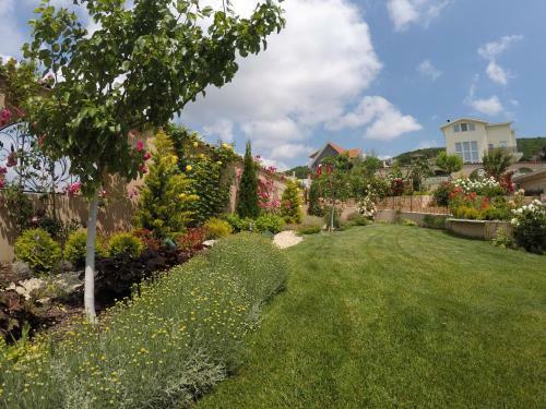 Vp Villa Intsaraki Saint Vlas