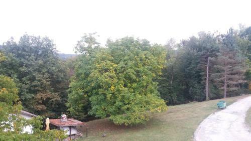 Hotel Chicho Tomovata Koliba