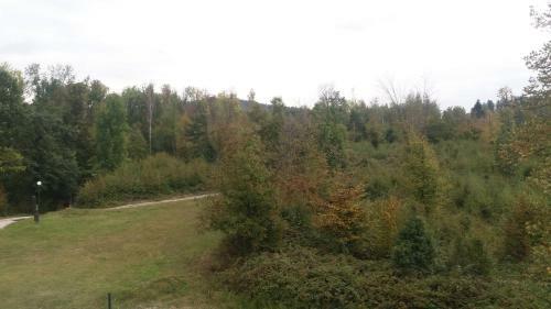 Hotel Chicho Tomovata Koliba