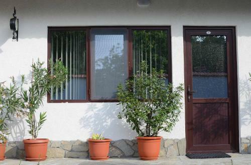 Hostal Guest House Dar