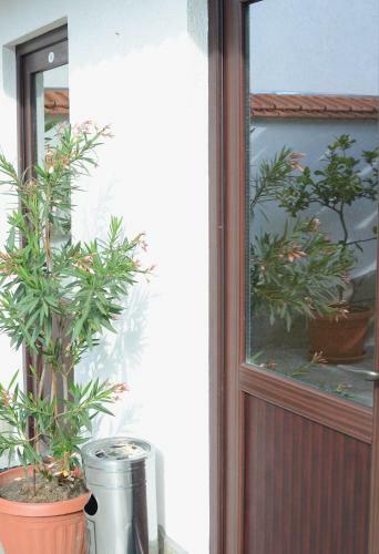 Hostal Guest House Dar