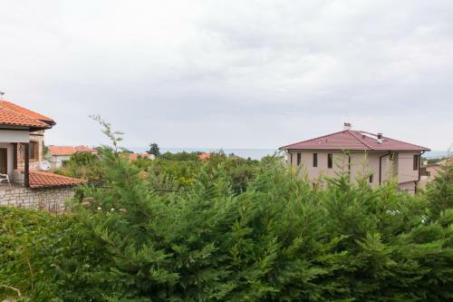 Hostal Guest House By The Captain