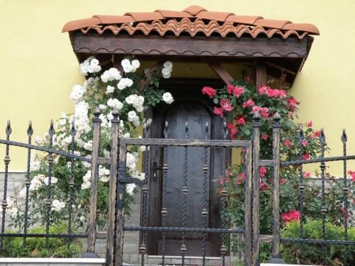 Apartments Kaloyan