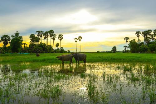 Siem Reap Friendly House