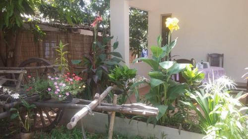 Siem Reap Friendly House