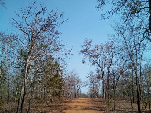 Chong Phov Khmer Homestay