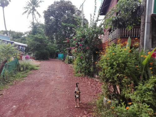 Chong Phov Khmer Homestay